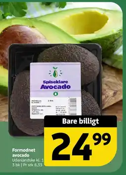 Løvbjerg Formodnet avocado tilbud