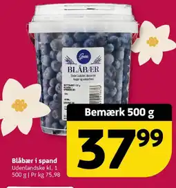 Løvbjerg Blåbær i spand tilbud