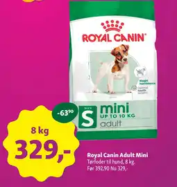 Maxi Zoo Royal Canin Adult Mini tilbud