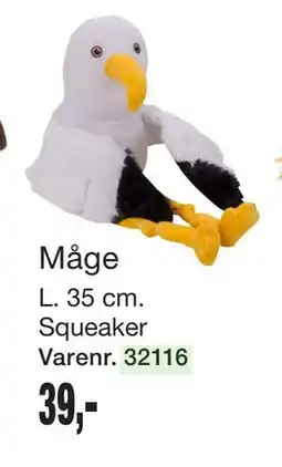 Harald Nyborg Måge tilbud