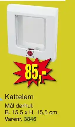 Harald Nyborg Kattelem tilbud