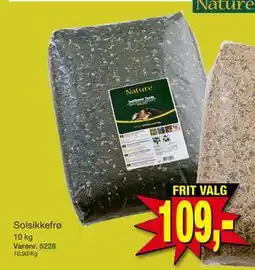 Harald Nyborg Solsikkefrø tilbud