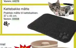 Harald Nyborg Kattebakke måtte tilbud