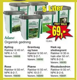 Harald Nyborg Rhododendron tilbud