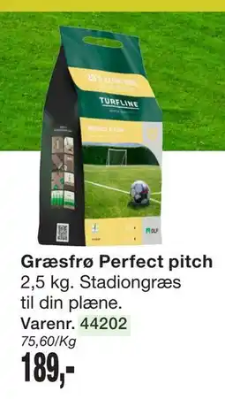 Harald Nyborg Græsfrø Perfect pitch tilbud