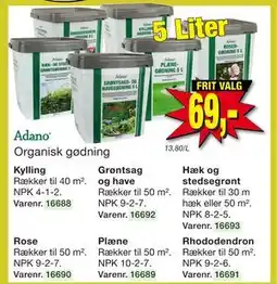 Harald Nyborg Hæk og stedsegrønt tilbud