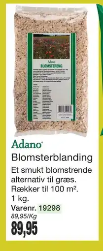 Harald Nyborg Adano Blomsterblanding tilbud