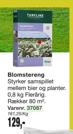 Harald Nyborg Blomstereng tilbud