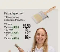 Harald Nyborg Facadepensel tilbud