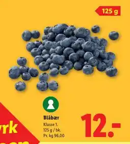 Lidl Blåbær tilbud