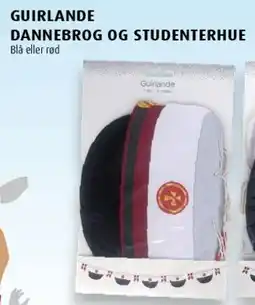 Scandinavian Park Guirlande / Studenterhue tilbud