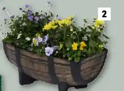 Lidl Plantekasse tilbud