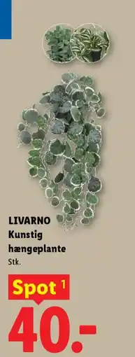 Lidl LIVARNO Kunstig hængeplante tilbud