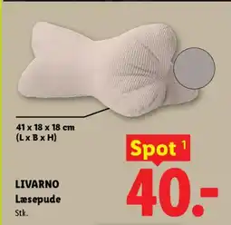 Lidl LIVARNO Læsepude tilbud