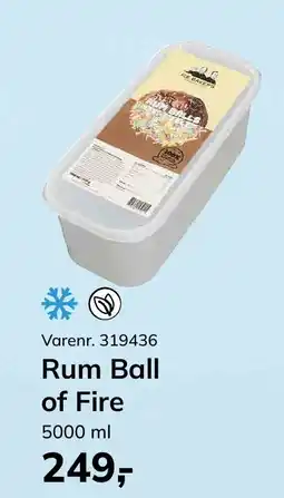 Dagrofa Food Service Rum Ball of Fire tilbud