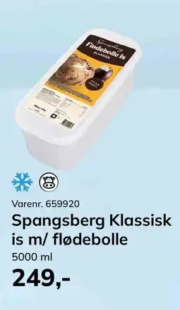 Dagrofa Food Service Spangsberg Klassisk is m/ flødebolle tilbud