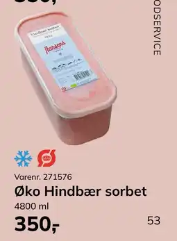 Dagrofa Food Service Øko Hindbær sorbet tilbud
