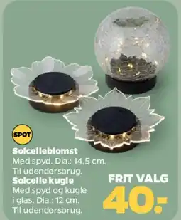 Netto Solcelleblomst / Solcelle kugle tilbud