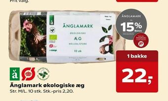 Dagli'Brugsen Änglamark økologiske æg tilbud