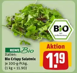 REWE DE Bio Crispy Salatmix, EUR 1.19 tilbud