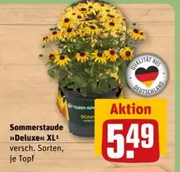REWE DE Sommerstaude Deluxe XL¹, EUR 5.49 tilbud