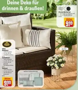 REWE DE Pflanzen-Übertopf-Set³, EUR 9.99 tilbud