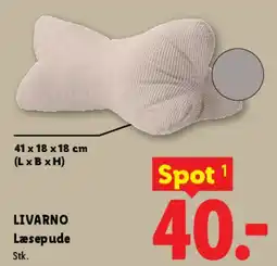 Lidl Læsepude tilbud