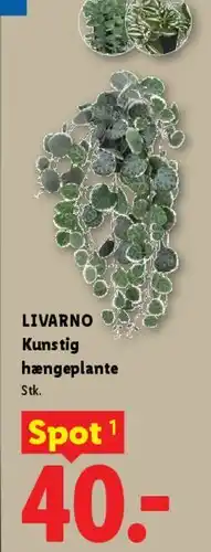 Lidl Kunstig hængeplante tilbud