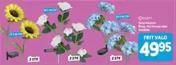 Din Isenkræmmer Solarblomst Rose, Hortensia eller Solsikke tilbud