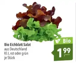 Citti Bio Eichblatt Salat tilbud