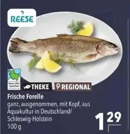 Citti Frische Forelle tilbud