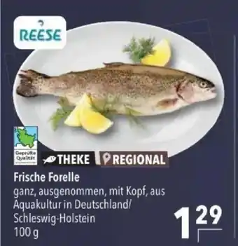 Citti Frische Forelle tilbud