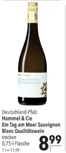 Citti Hammel & Cie Ein Tag am Meer Sauvignon Blanc Qualitätswein tilbud