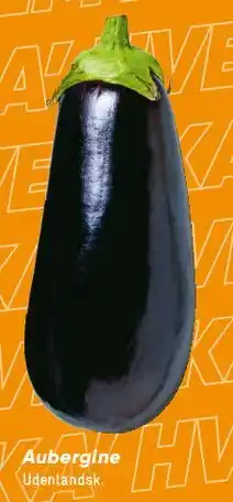 Bilka Aubergine tilbud
