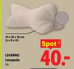 Lidl LIVARNO Læsepude tilbud