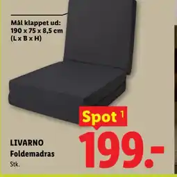 Lidl LIVARNO Foldemadras tilbud
