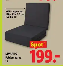 Lidl LIVARNO Foldemadras tilbud