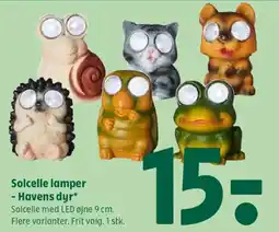 Coop 365 Solcelle lamper -Havens dyr tilbud
