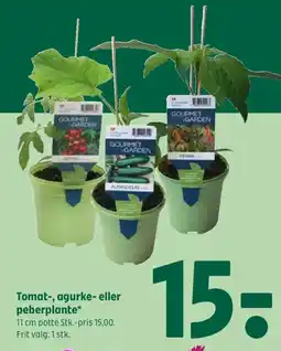 Coop 365 Tomat-, agurke- eller peberplante tilbud