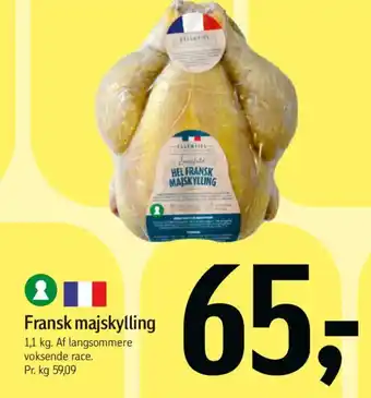 Føtex Fransk majskylling tilbud