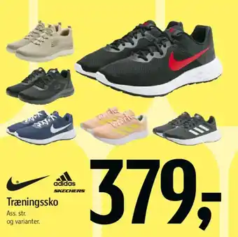 Adidas / SKECHERS Træningssko