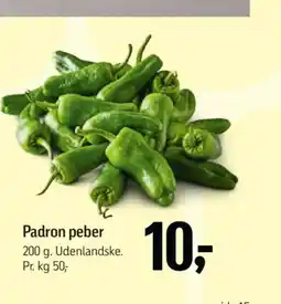 Føtex Padron peber tilbud