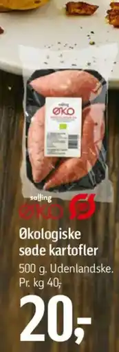 Føtex Økologiske søde kartofler tilbud