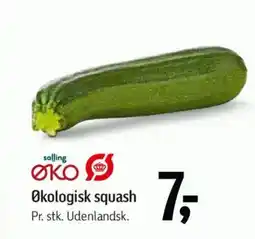 Føtex Salling øko økologisk squash tilbud