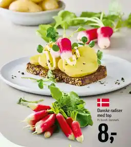 Føtex Danske radiser med top tilbud