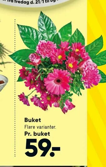 Bilka Buket tilbud