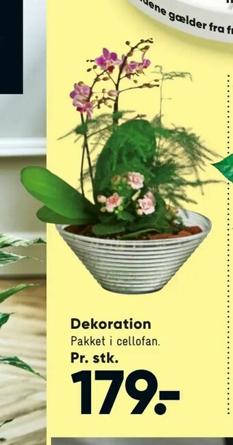 Bilka Dekoration tilbud