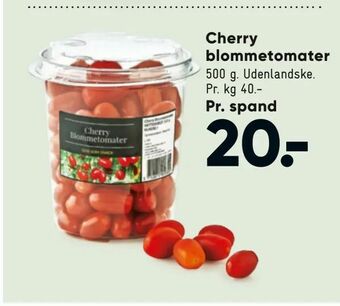 Bilka Cherry blommetomater tilbud