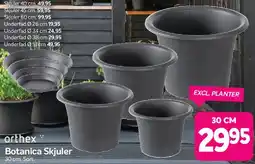 Din Isenkræmmer Botanica skjuler tilbud