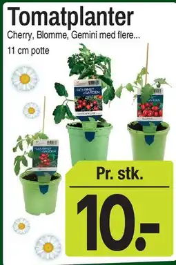 ABC Lavpris Tomatplanter tilbud